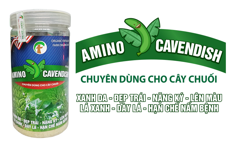 PHÂN BÓN HỮU CƠ VI LƯỢNG AMINO CAVENDISH