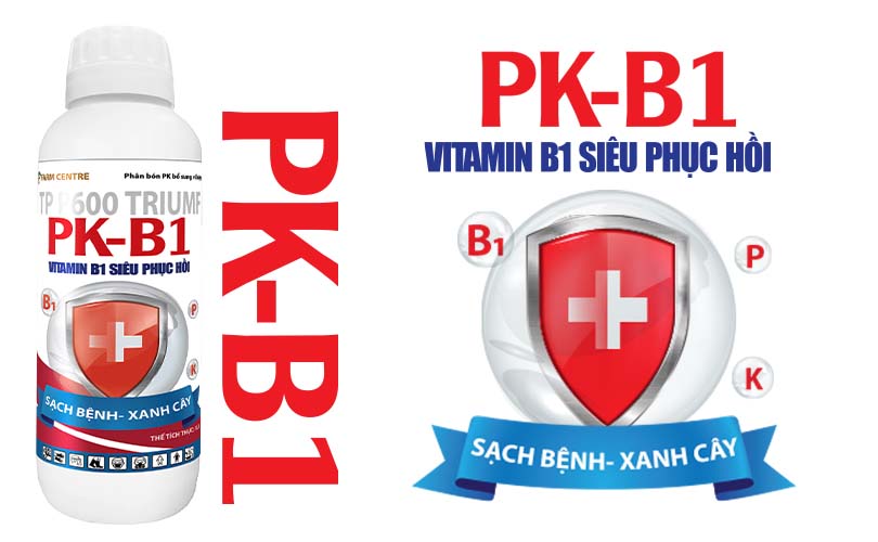 PHÂN BÓN VÀ TRỪ BỆNH PK-B1