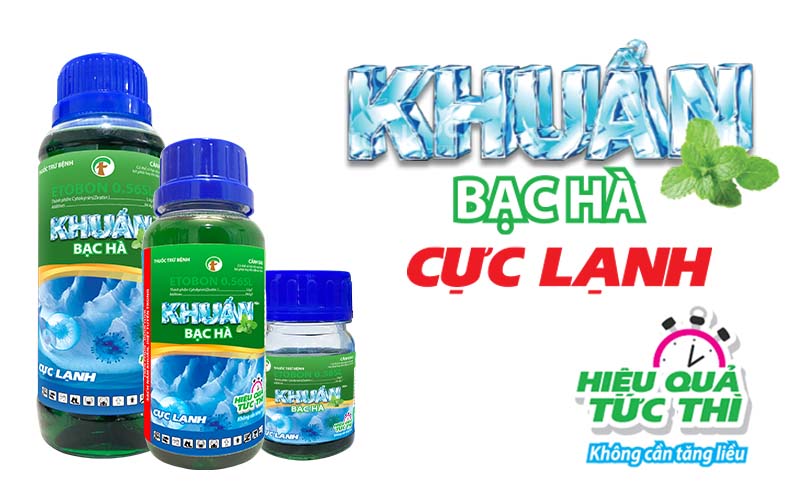 THUỐC TRỪ BỆNH KHUẨN BẠC HÀ