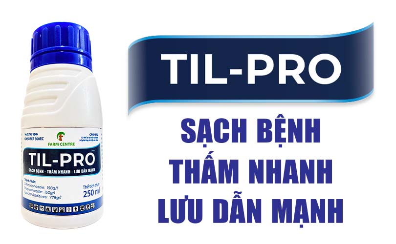 THUỐC TRỪ BỆNH TIL-PRO 300EC