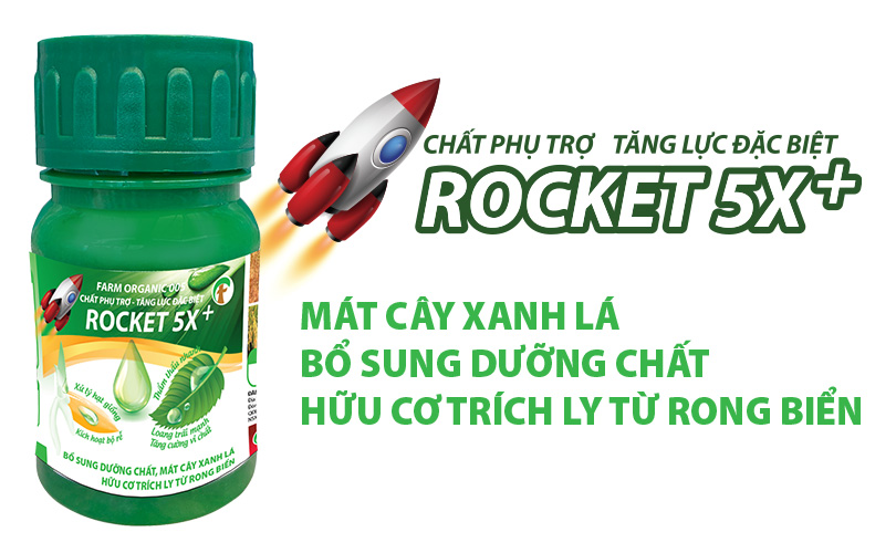 CHẤT LOANG TRẢI THẨM THẤU ROCKET 5X+